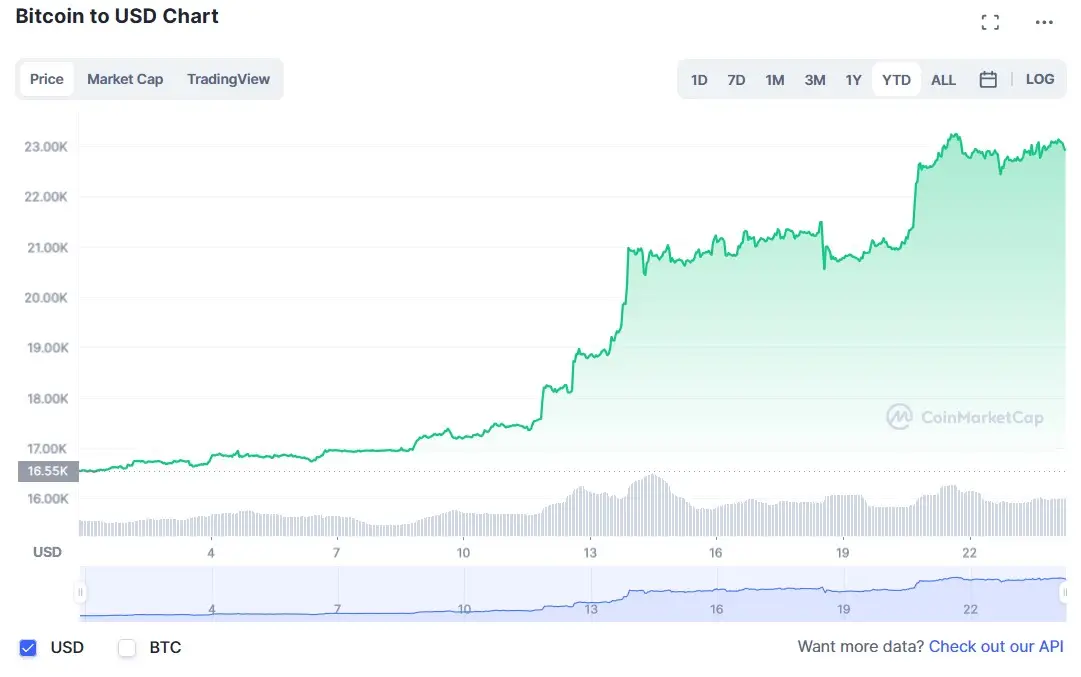 La variación del precio del Bitcoin en lo que va del año. Fuente: coinmarketcap.com.
