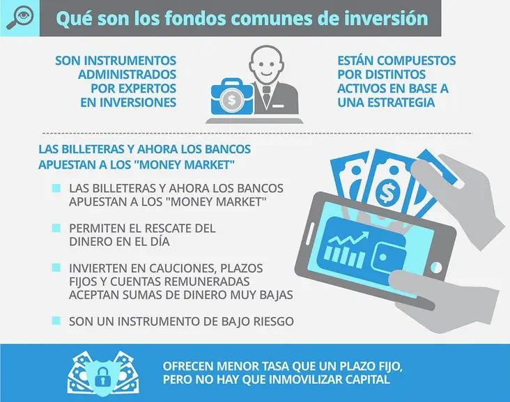 Características de los FCI