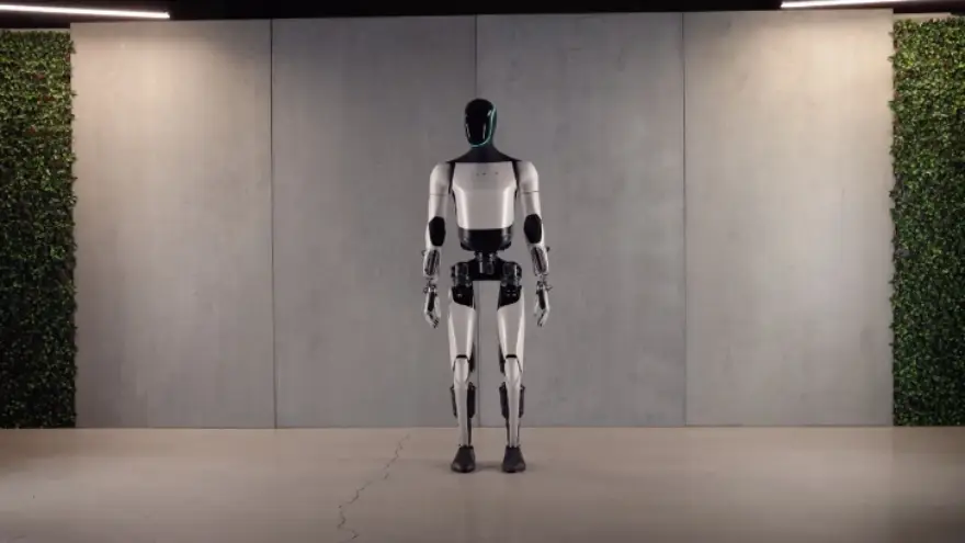 El robot humanoide de Tesla saldría entre u$s10.000 y u$s20.000