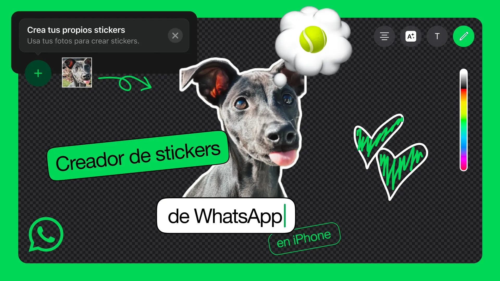 Entre las nuevas características se destacan la capacidad de crear stickers 
