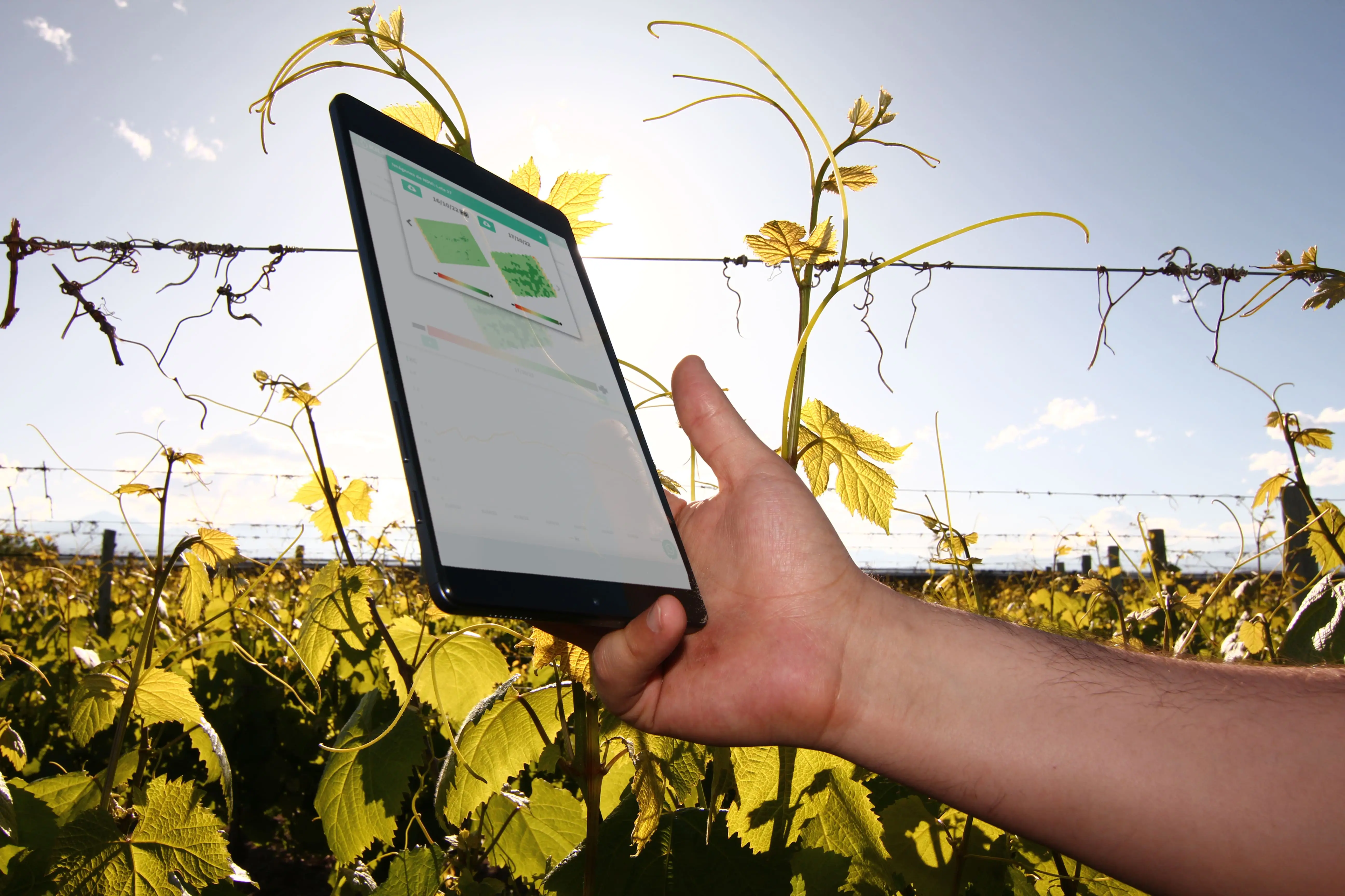 Kilimo utiliza diferentes tecnologías con el fin de generar mayor eficiencia en el uso de agua para la producción agropecuaria 