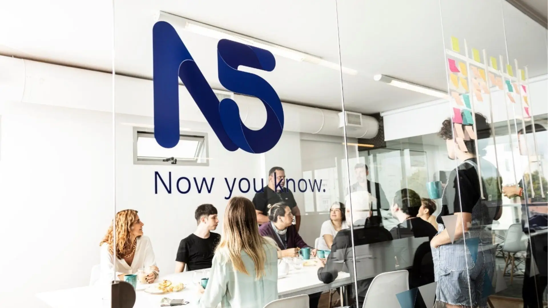 N5 posee grupos interdisciplanarios