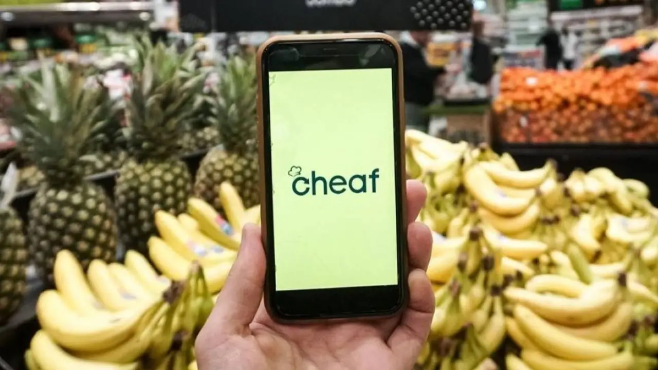 Cheaf es 