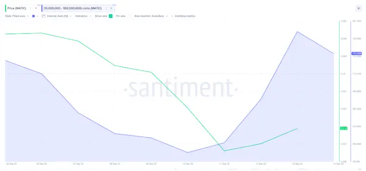 Las ballenas de criptomonedas están comprando estas altcoins con descuento